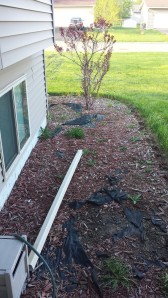 Front Yard Landscaping Before | Fairhome Road